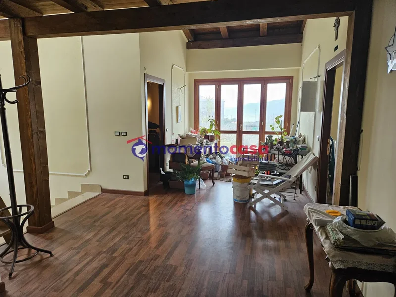 località concessa, Reggio Calabria, Calabria, Italy. - Photo 21