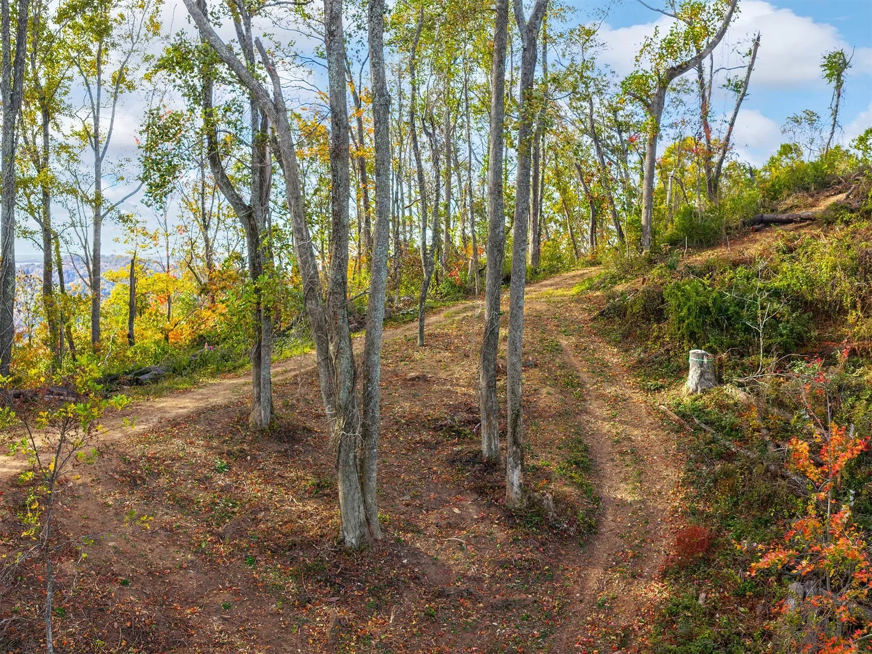 566 Elk Mountain Scenic, Asheville, NC, 28804, USA, Weaverville, North Carolina, United States. - Photo 12