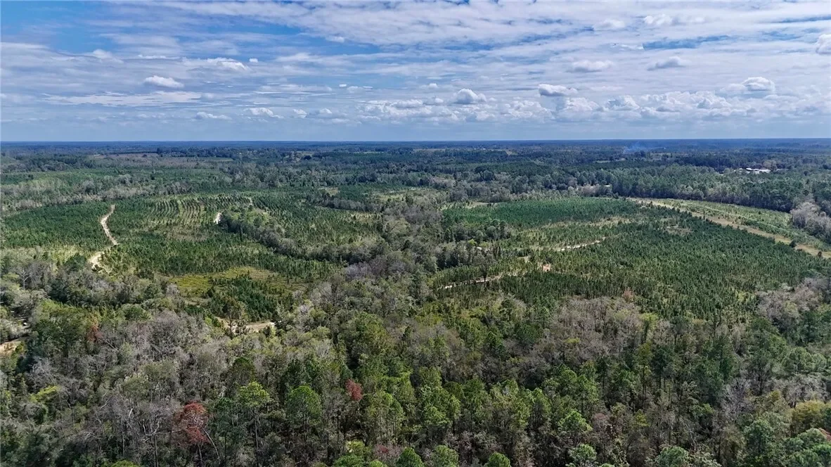 0 Ernest Carter Road, Other, GA 31539, Hazlehurst, Georgia, United States. - Photo 4