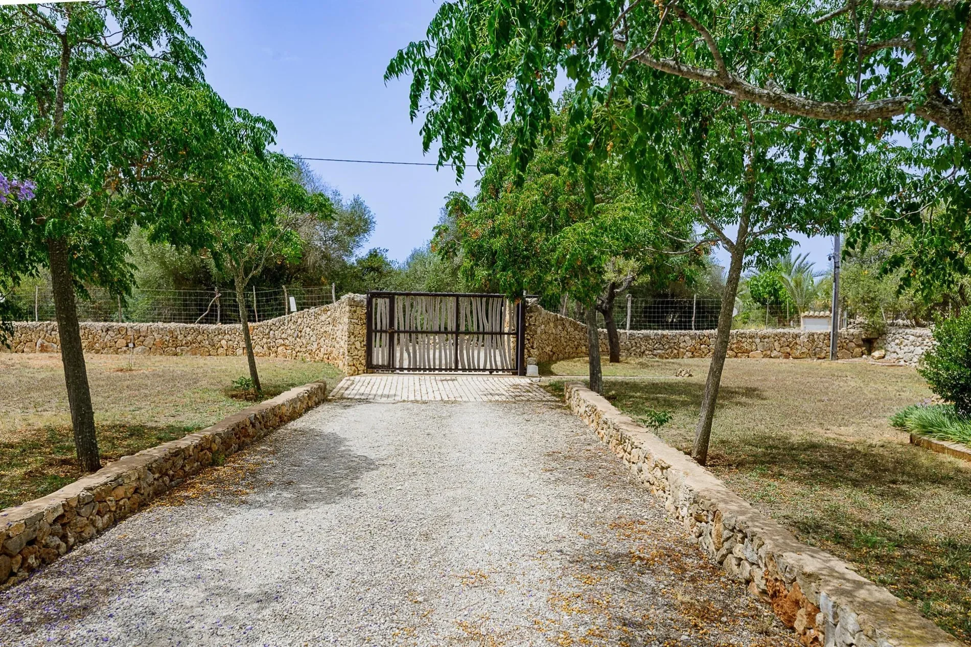 Sencelles, Sencelles, BALEARES, Sencelles, Sencelles, Balearic Islands, Spain. - Photo 23