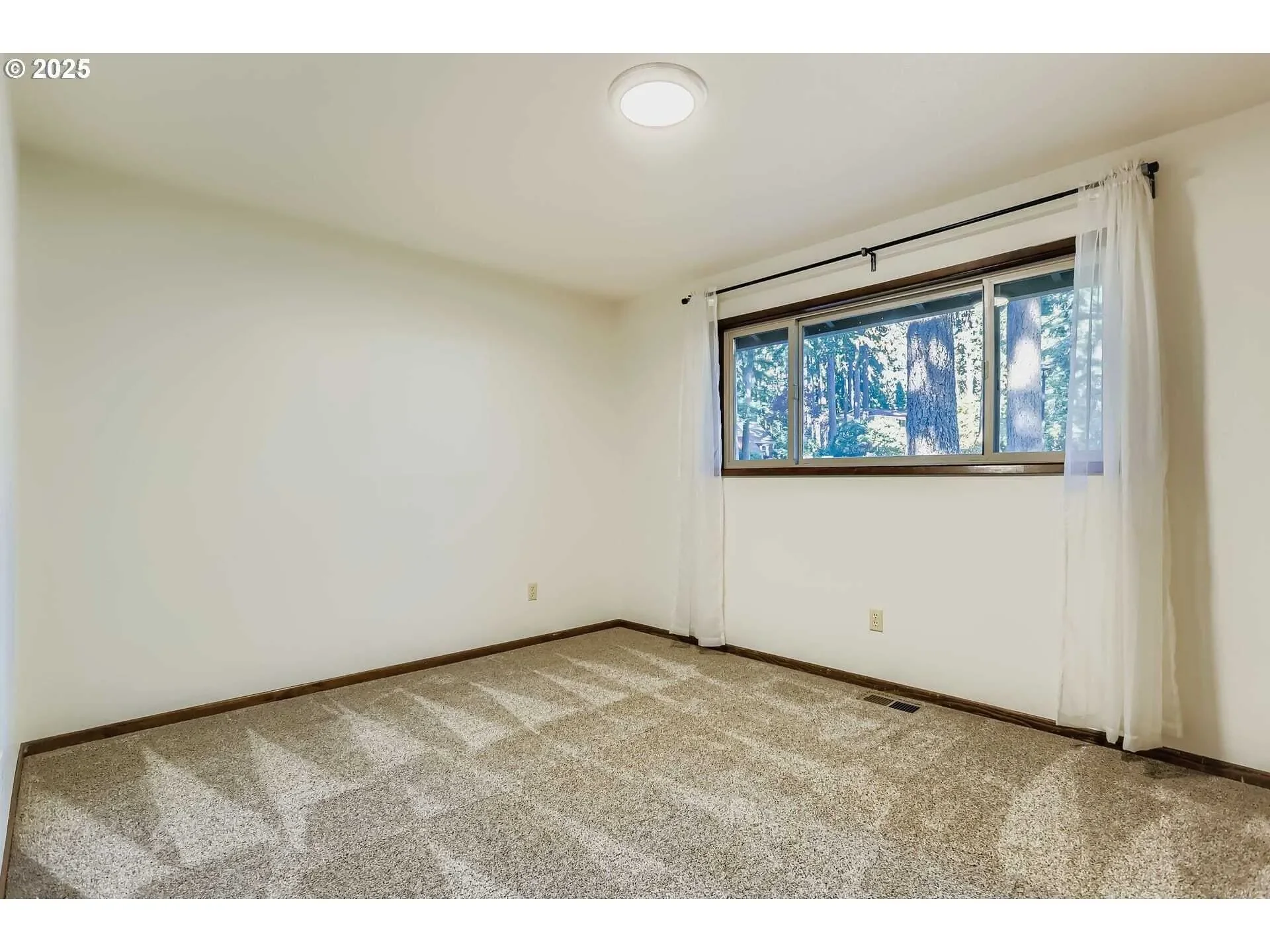 Gallery photo 11