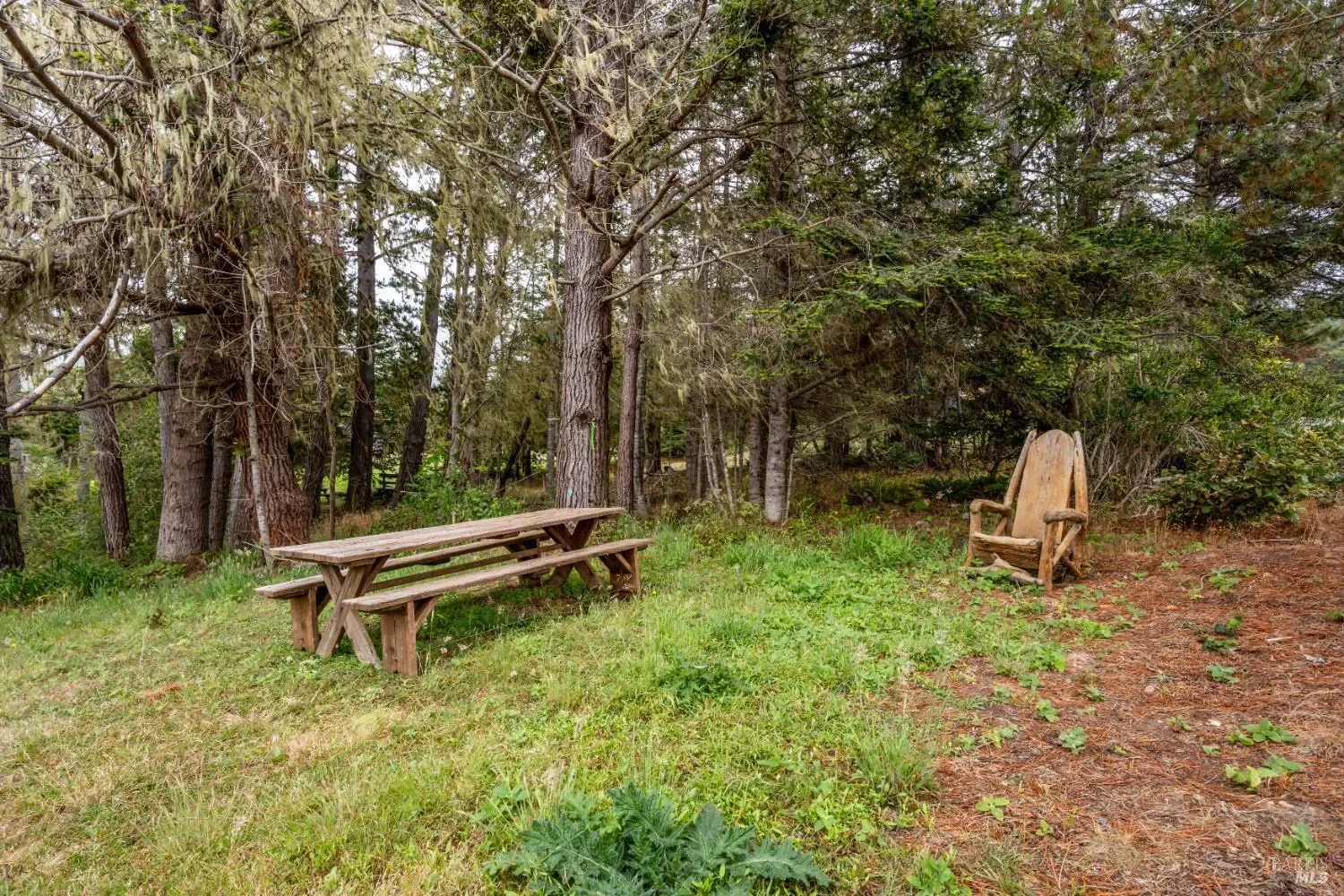 15741 Forest View Road, Manchester, California, United States. - Photo 7
