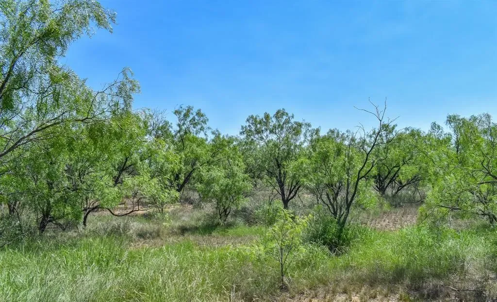 1025 FM 765, Lohn, Texas, United States. - Photo 27
