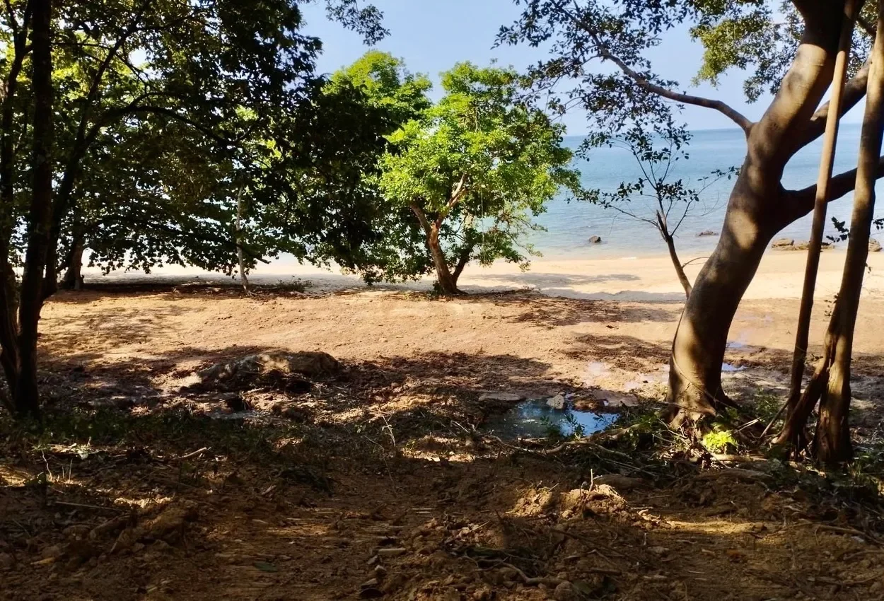 Krabi,, Ko Siboya, Krabi, Thailand. - Photo 9