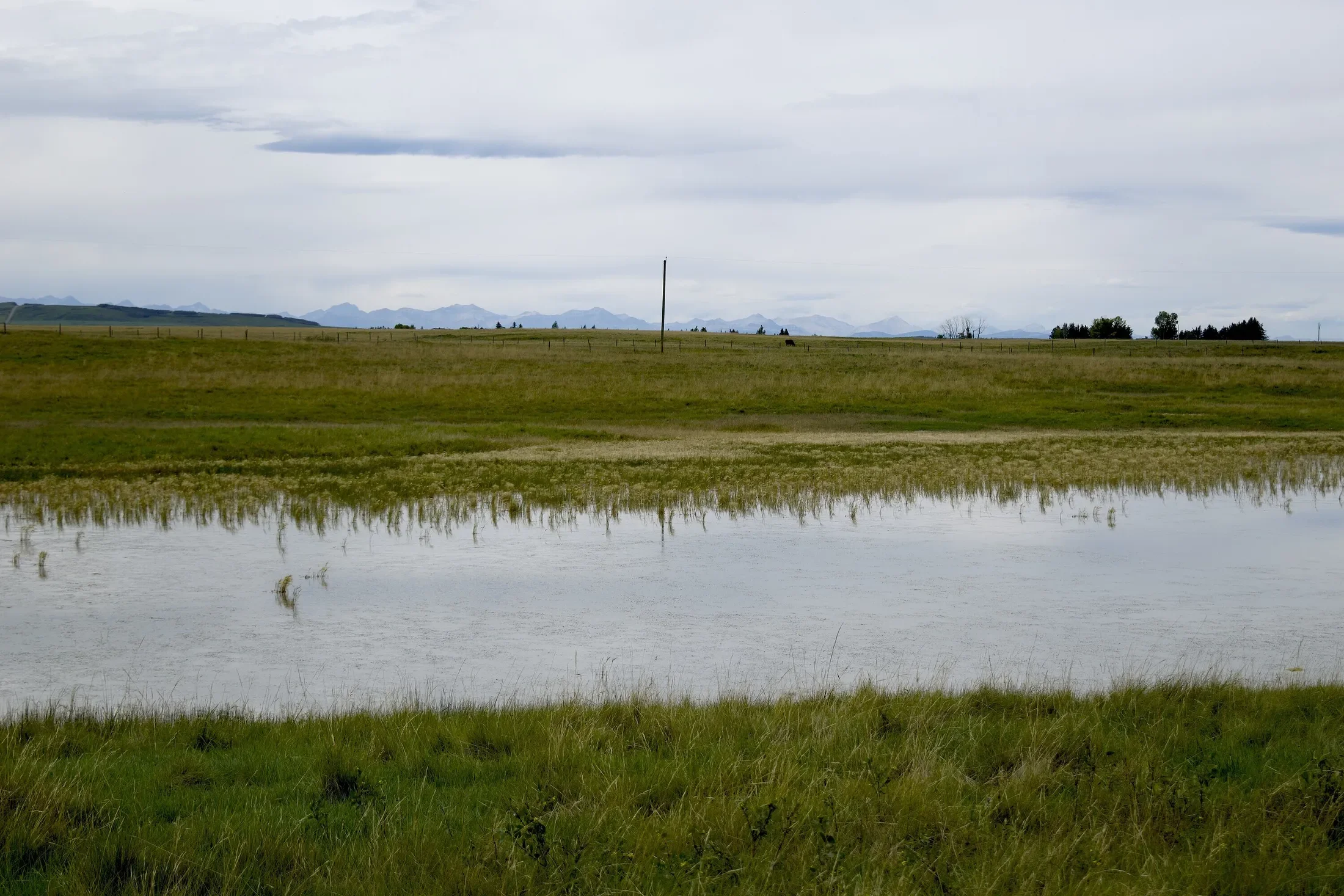 Gallery photo 12