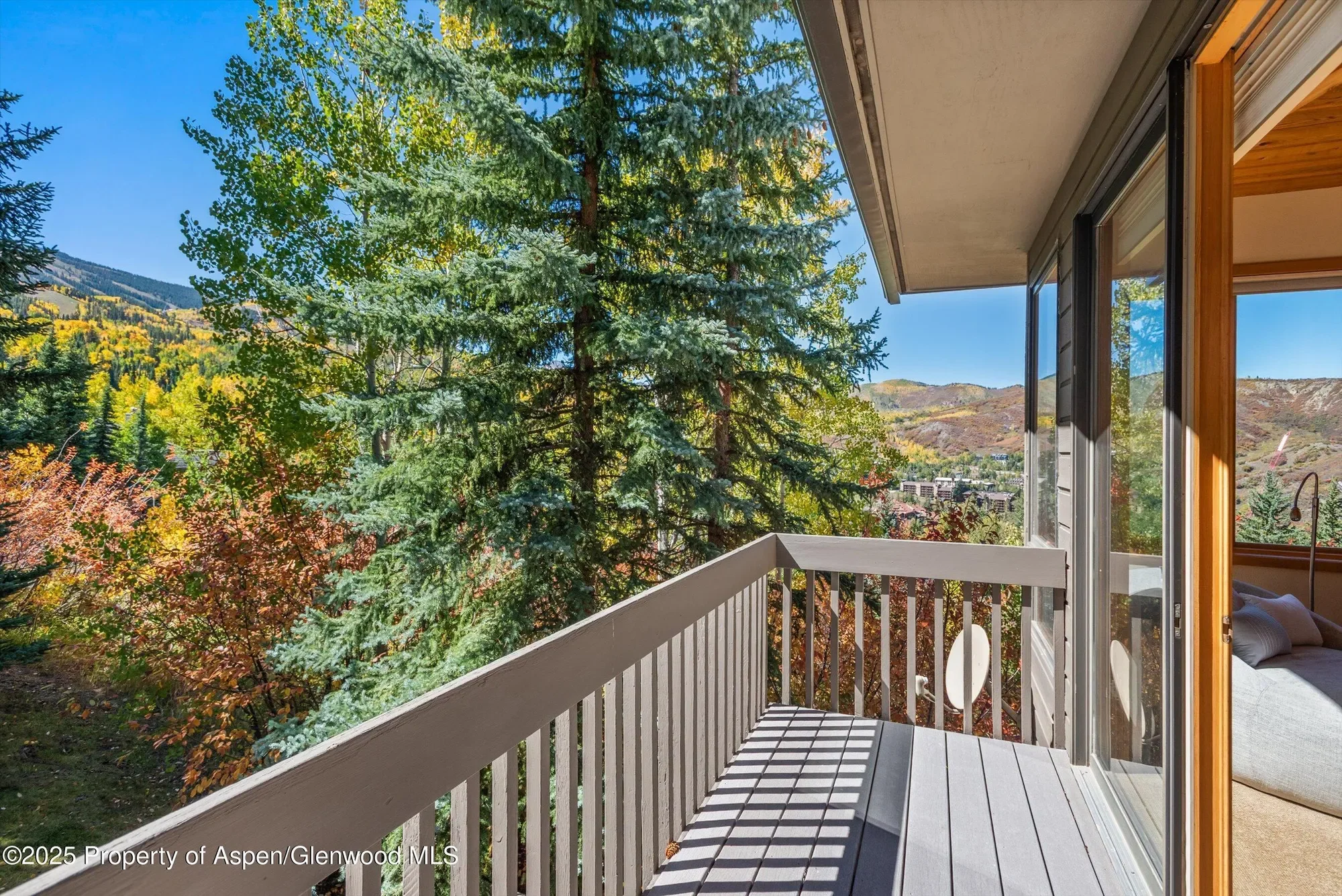 259 Deer Ridge Lane, Snowmass Village, CO, United States. - Photo 29