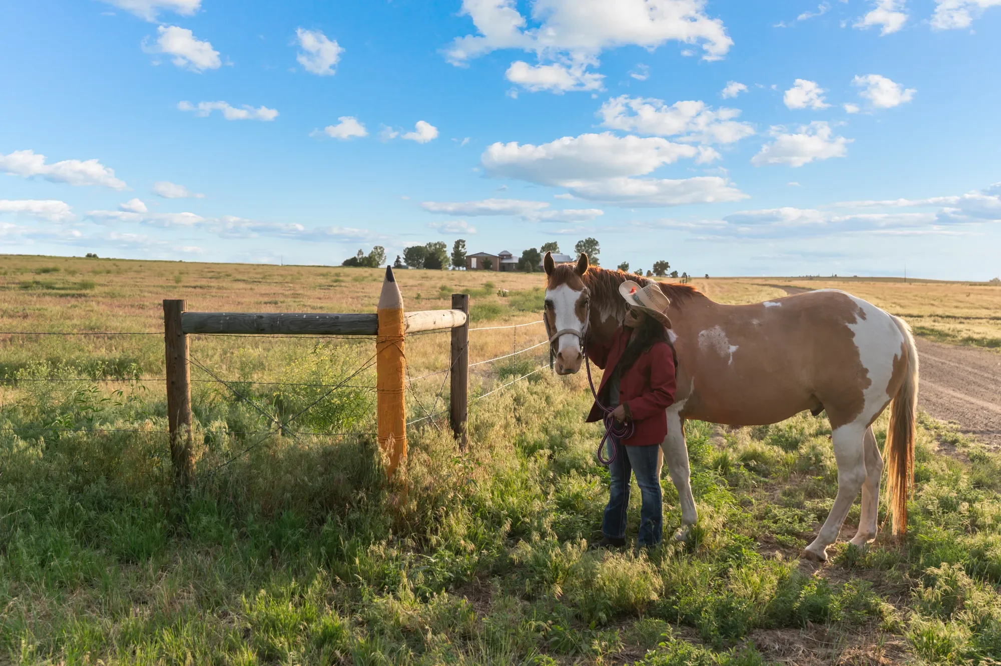11881 County Road 37 , Fort Lupton, CO 80621, Fort Lupton, Colorado, United States. - Photo 2