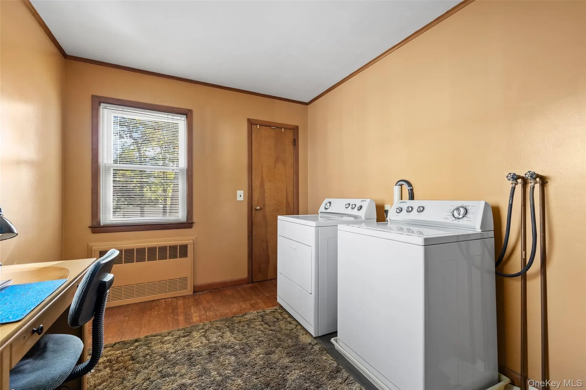 Gallery photo 5