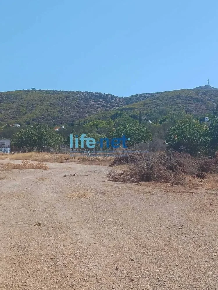 Plot 13000sqm in Legrena