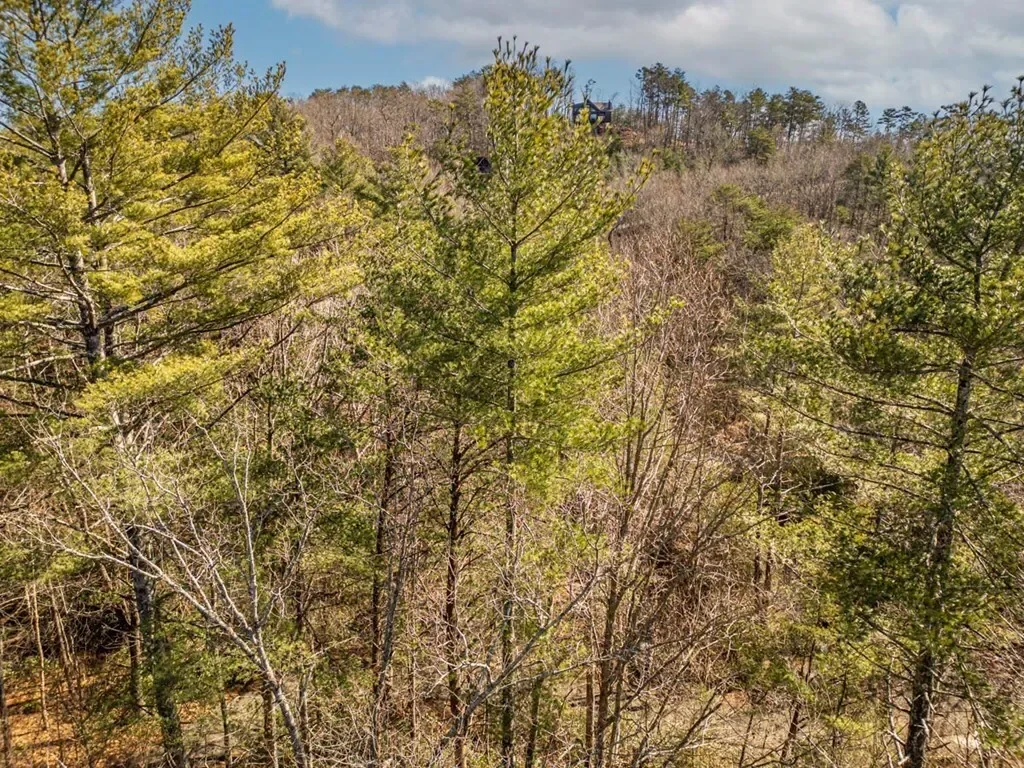 35 Leatherwood Mountain Road, Cherry Log, Georgia, United States. - Photo 45