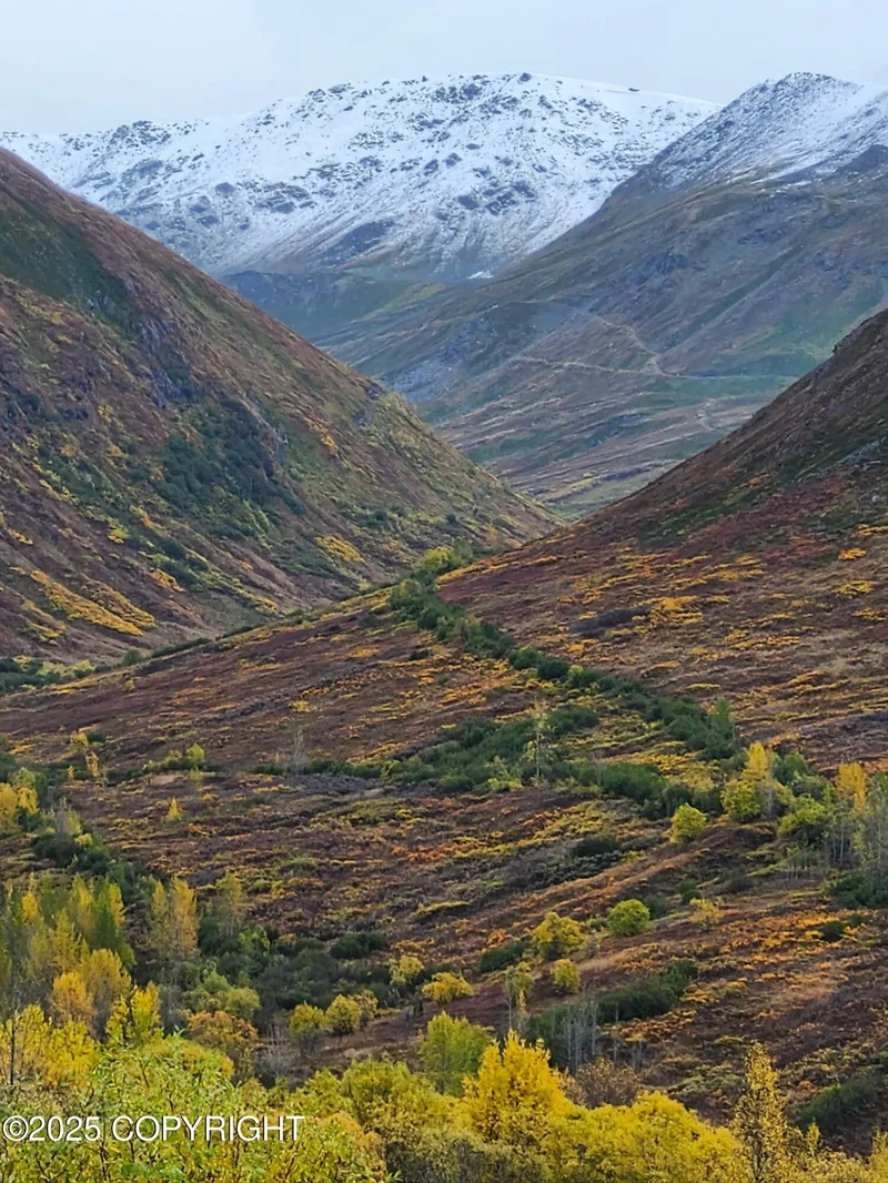 Mile 18 Willow-Fishhook Road, Willow, AK 99688, Willow, Alaska, United States. - Photo 5