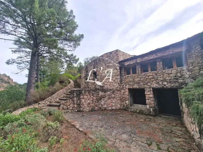 Sari-Solenzara, Corsica, France. - Photo 12