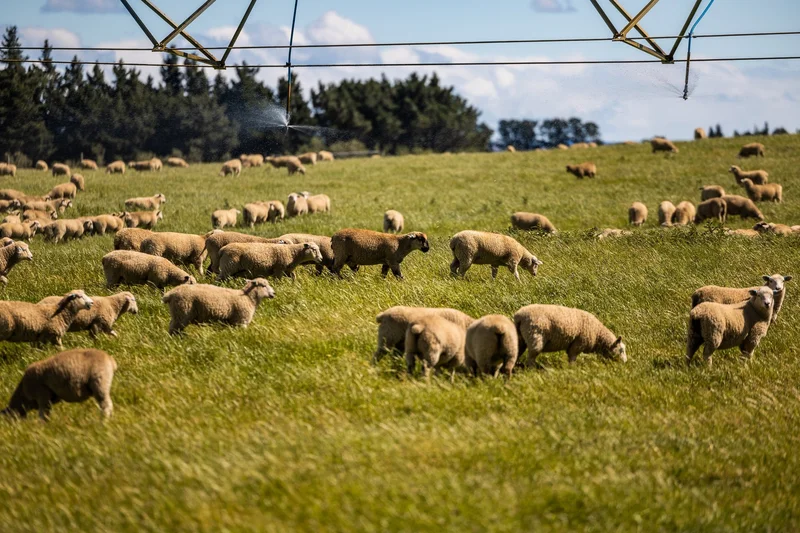 Middlemarch, Dunedin, OTA 9074, Pukerangi, Otago, New Zealand. - Photo 16