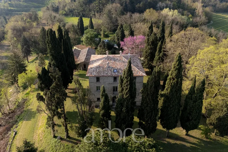 47032 Bertinoro, Province of Forlì-Cesena, Italy, Bertinoro, Emilia-Romagna, Italy. - Photo 28