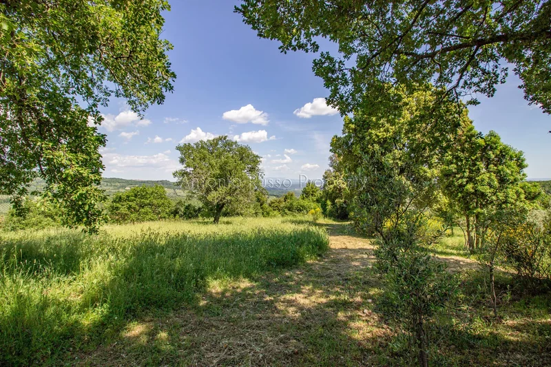 58036 Roccastrada, Province of Grosseto, Italy, Roccastrada, Tuscany, Italy. - Photo 16
