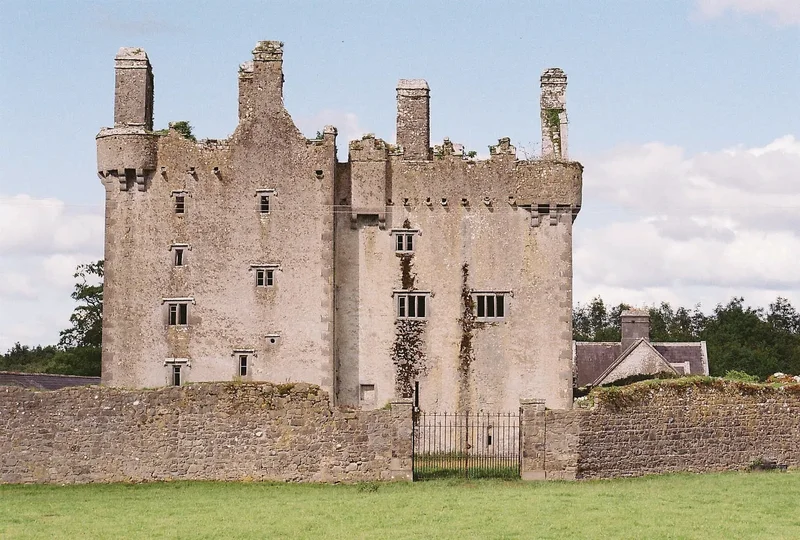 Sopwell Hall and Killaleigh Castle, Ballingarry, M E53 YN99, Curraghgloss, County Tipperary, Ireland. - Photo 10