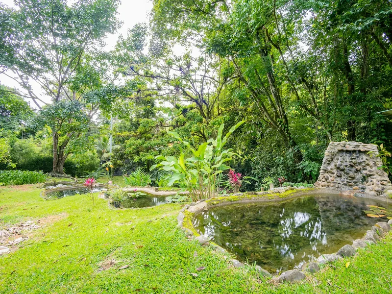 Self-Sustaining Mountain Estate with Waterfall, River, & Multiple Homesites