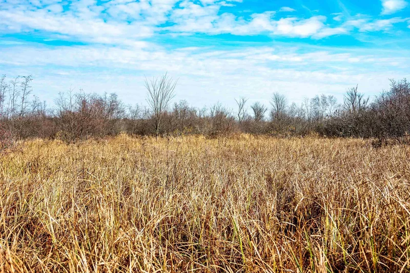 72 Ac. Czech, Berlin, WI 54923, Berlin, Wisconsin, United States. - Photo 16