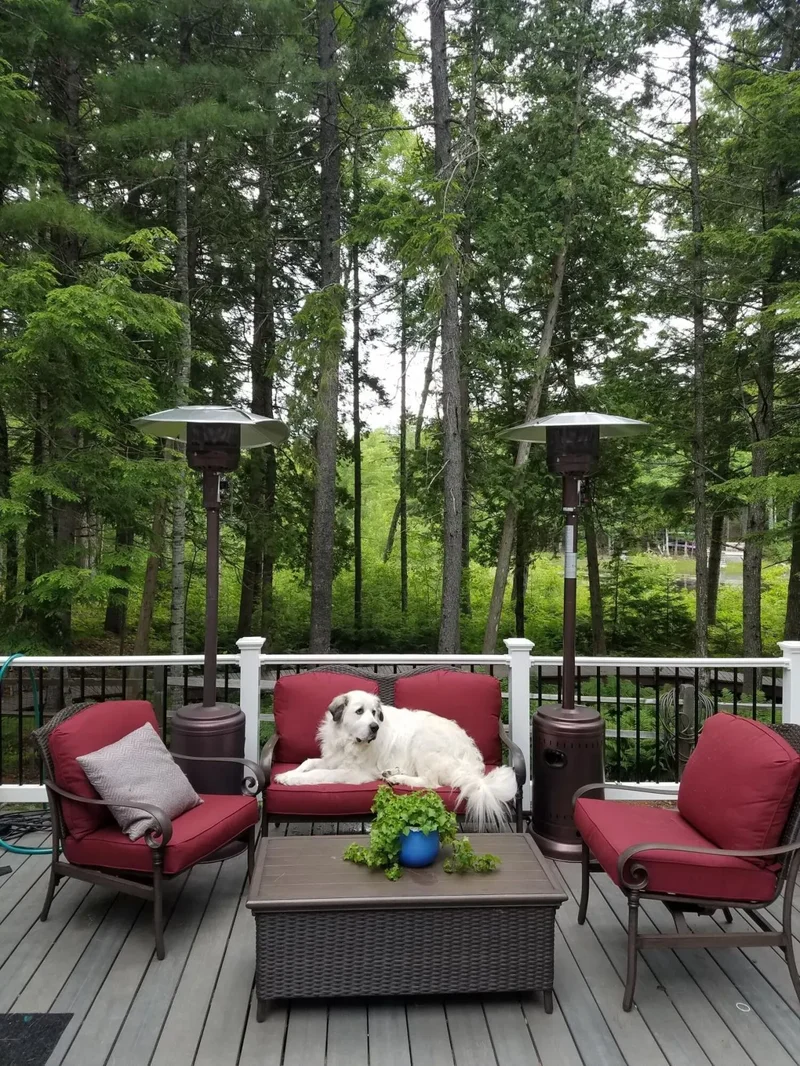 95 Silsby Road, Mariaville, ME 04605, Trenton, Maine, United States. - Photo 11