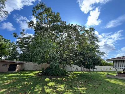Thumbnail 10