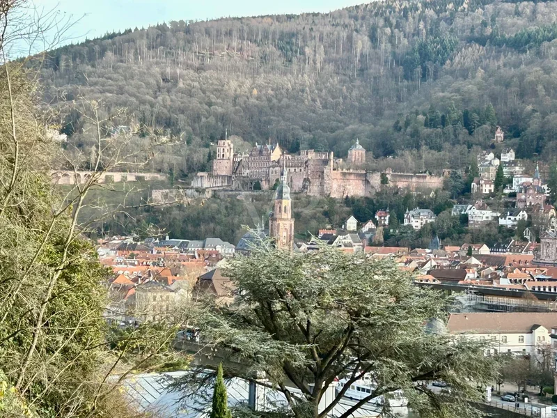 Heidelberg, Baden-Württemberg, Germany. - Photo 15