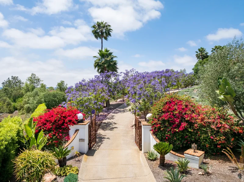 18245 Paseo Victoria , Rancho Santa Fe, CA 92067, Encinitas, California, United States. - Photo 25