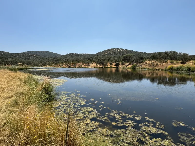 41370 Cazalla de la Sierra, Seville, Spain, Cazalla de la Sierra, Andalusia, Spain. - Photo 12