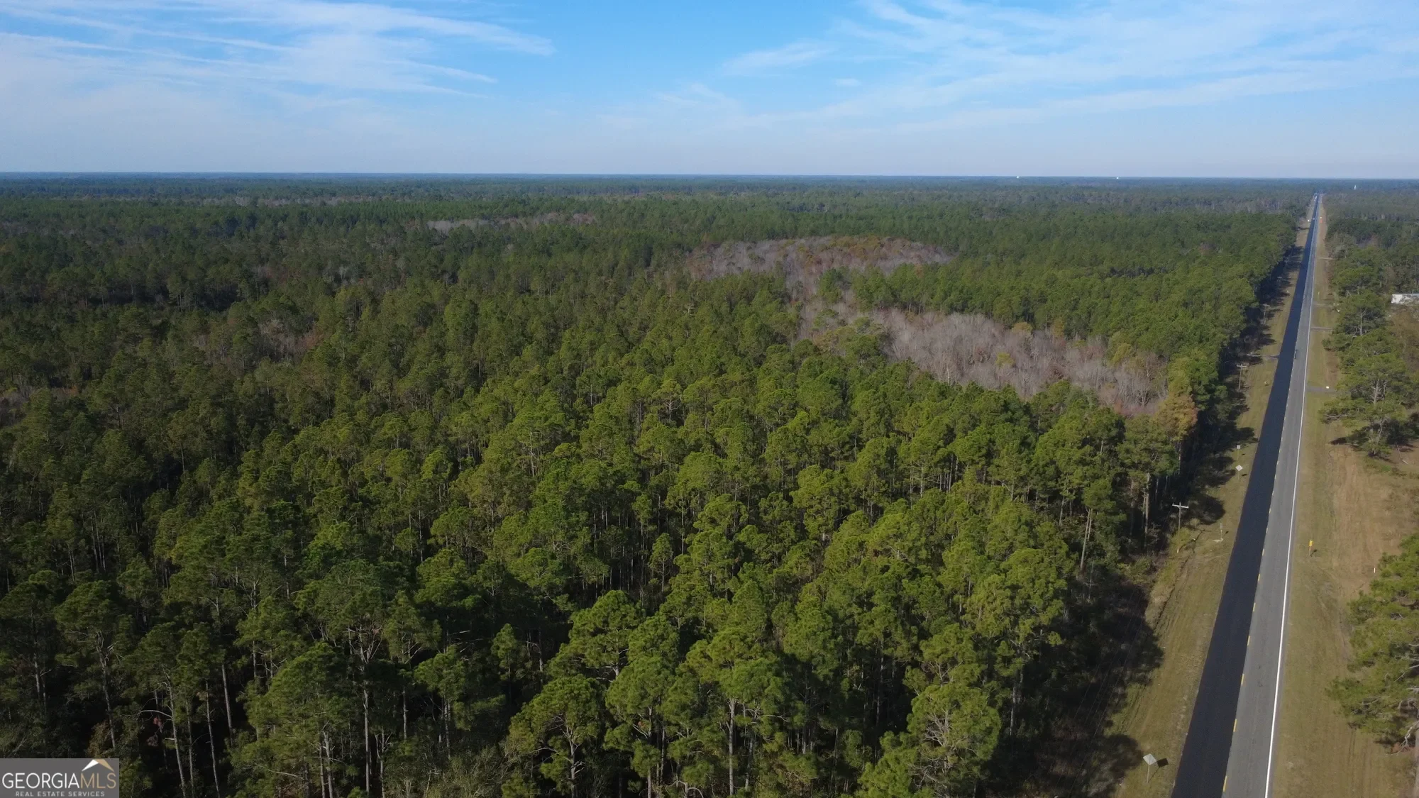 0 Fargo Highway, Homerville, GA 31634, Homerville, Georgia, United States. - Photo 10