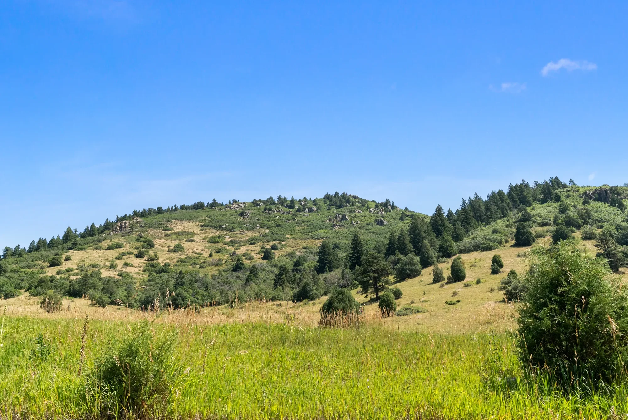 12954 Kuehster Road , Littleton, CO 80127, Littleton, Colorado, United States. - Photo 3