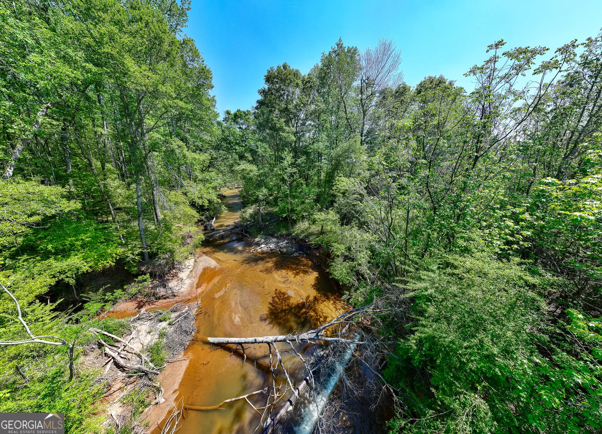 Shiloh, Georgia, United States. - Photo 56
