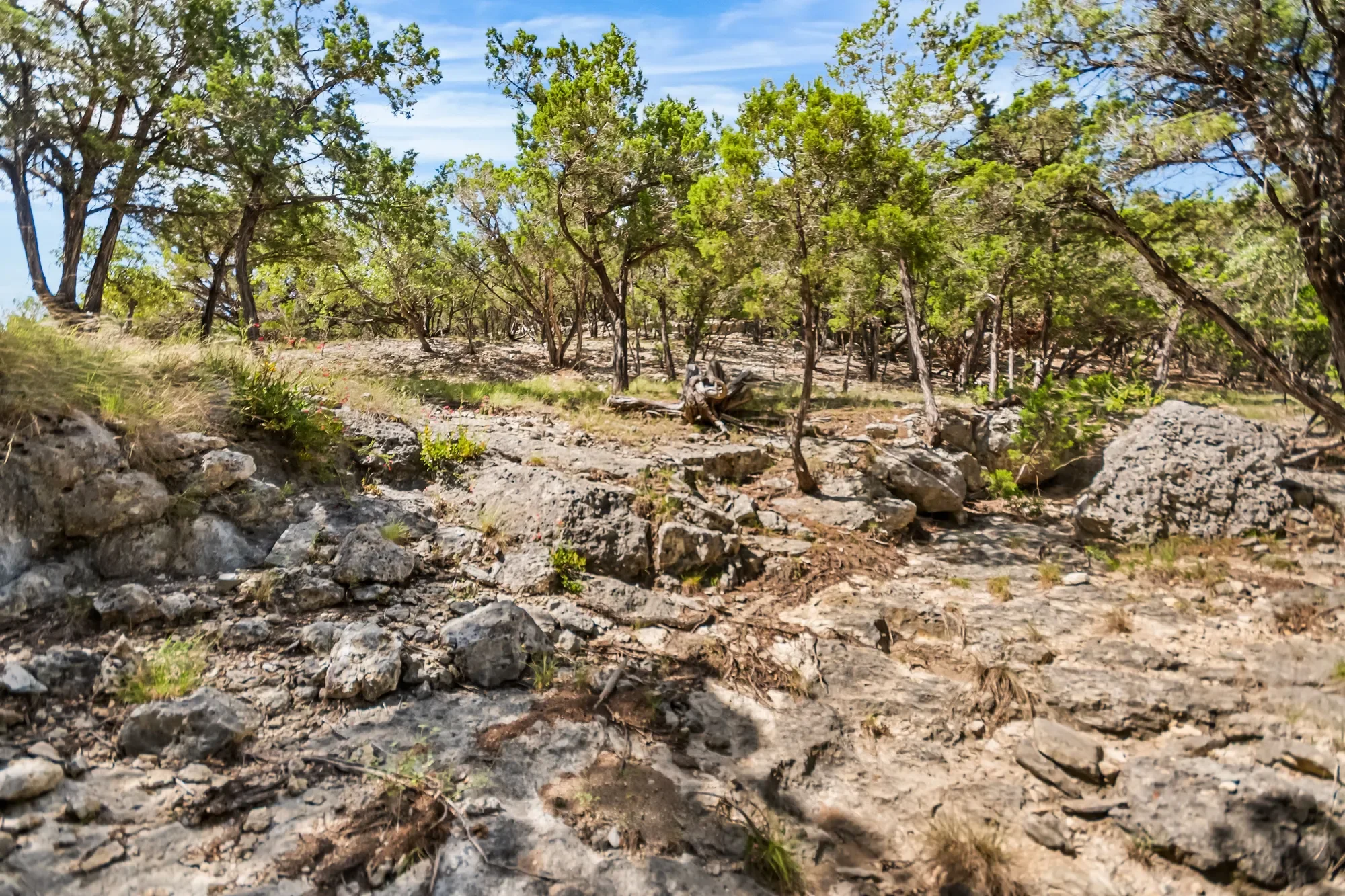 4366 Whartons Dock Road , Bandera, TX 78003, Bandera, Texas, United States. - Photo 42