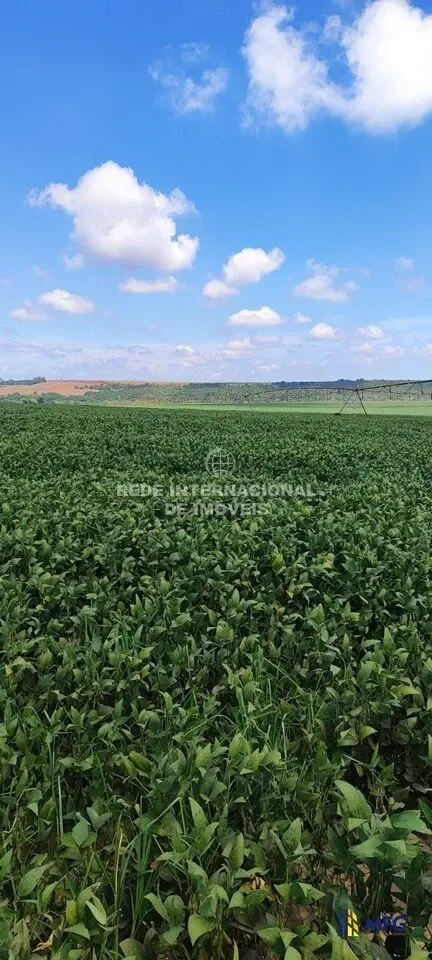 Paranapanema, State of São Paulo, Brazil. - Photo 3