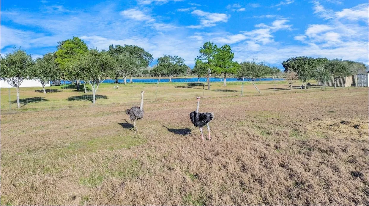 5523 Ehrman Lake Lane, Wallis, TX 77485, Wallis, Texas, United States. - Photo 6