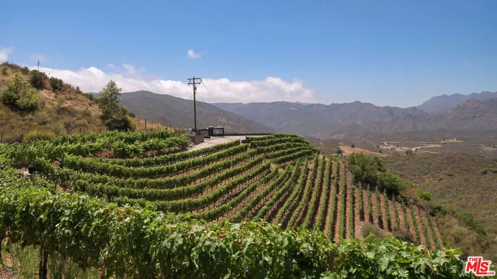 33330 Hassted Drive, Malibu, California, United States. - Photo 32