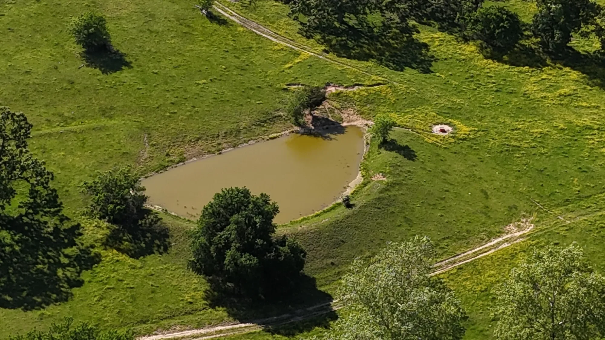 1898 E 332nd Road, Polk, MO 65727, Bolivar, Missouri, United States. - Photo 44