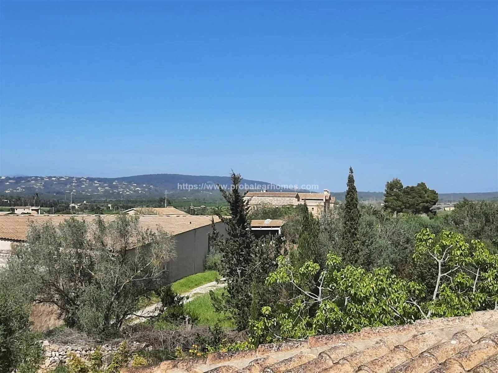 PALMA DE MALLORCA, Baleares, PALMA DE MALLORCA, Palma, Balearic Islands, Spain. - Photo 19