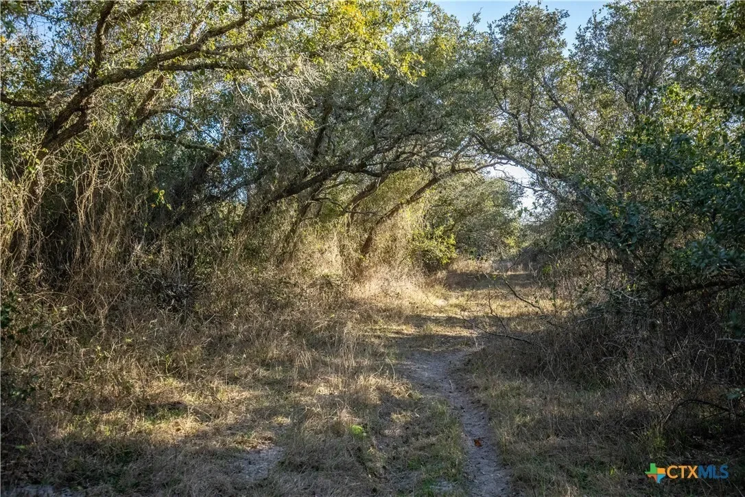 6498 Hwy 35 N, Rockport, TX 78382, Rockport, Texas, United States. - Photo 40