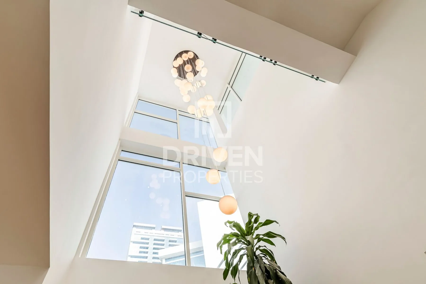Gallery photo 8