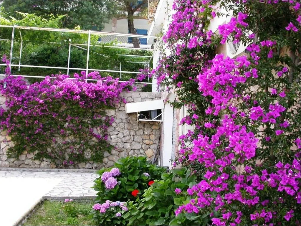 Herceg-Novi, Herceg Novi, Herceg Novi Municipality, Montenegro. - Photo 1