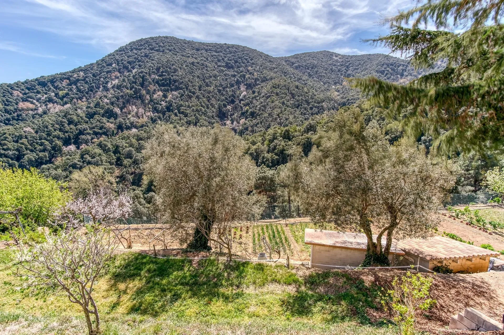 Hortsavinya, Tordera, BARCELONA, Tordera, Tordera, Catalonia, Spain. - Photo 48