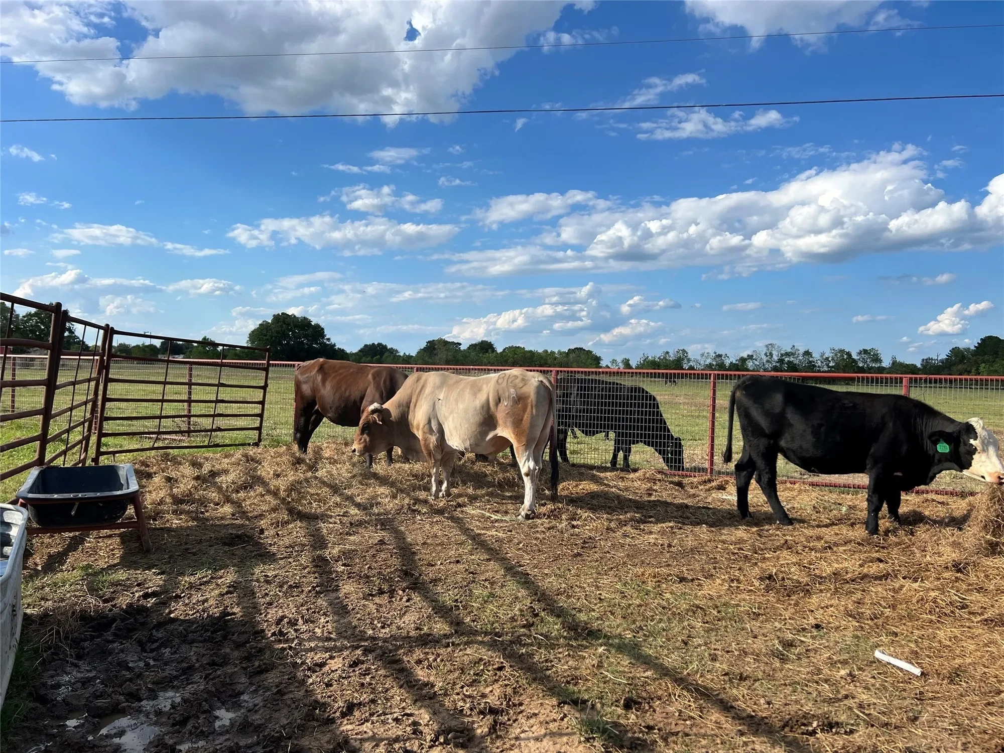 30930 Waller Spring Creek Road, Waller, TX 77484, Waller, Texas, United States. - Photo 48