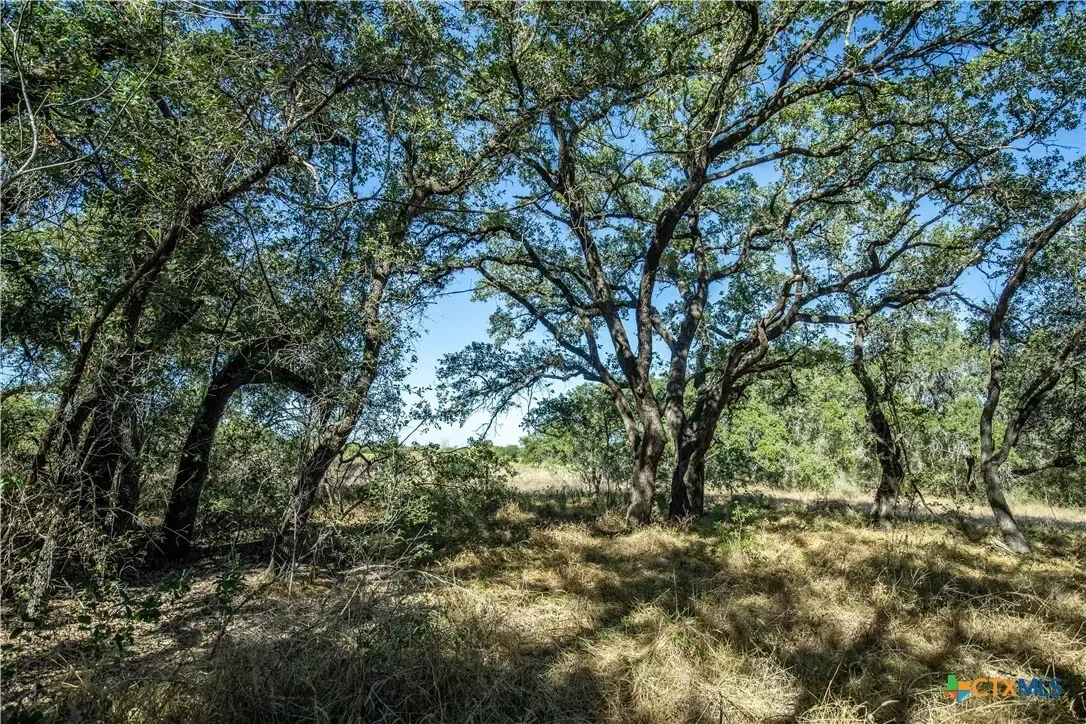 21123 Lamm Road, Elmendorf, TX 78112, Elmendorf, Texas, United States. - Photo 35