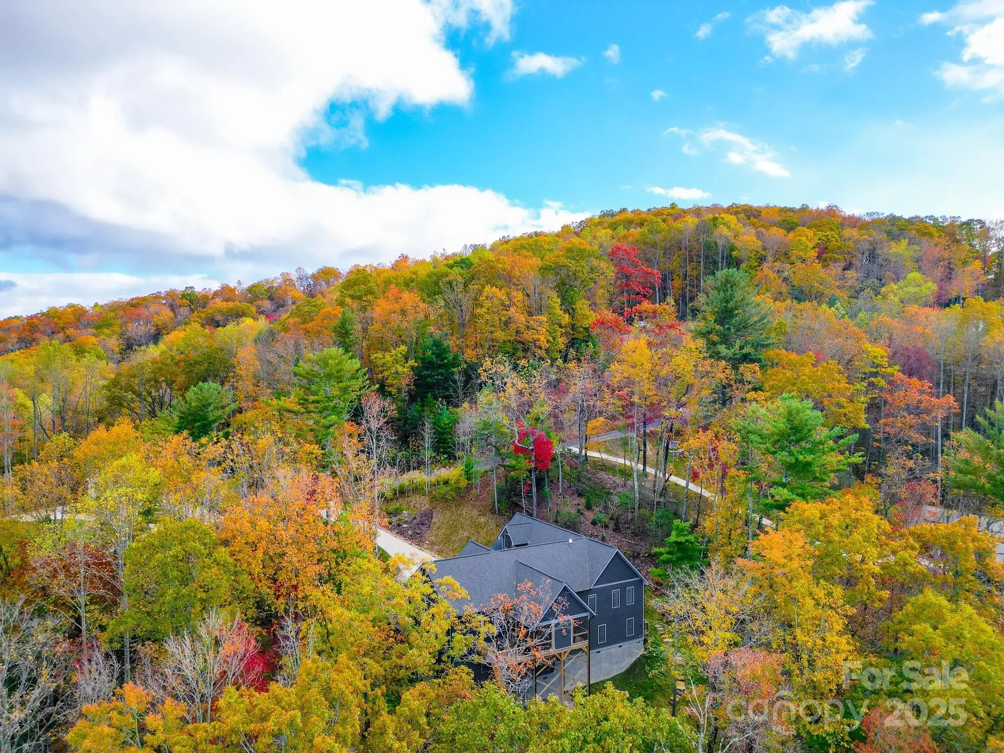 250 Judson Ridge Road, Arden, NC 28704, Mills River, North Carolina, United States. - Photo 15