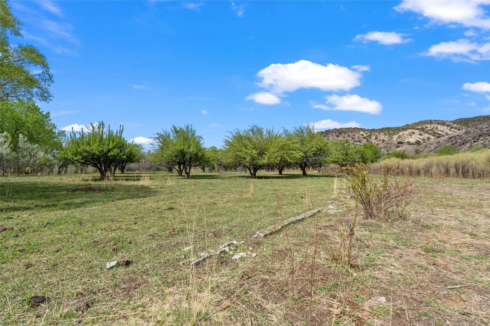 781 County Road 57 , Lyden, NM 87582, Velarde, New Mexico, United States. - Photo 5