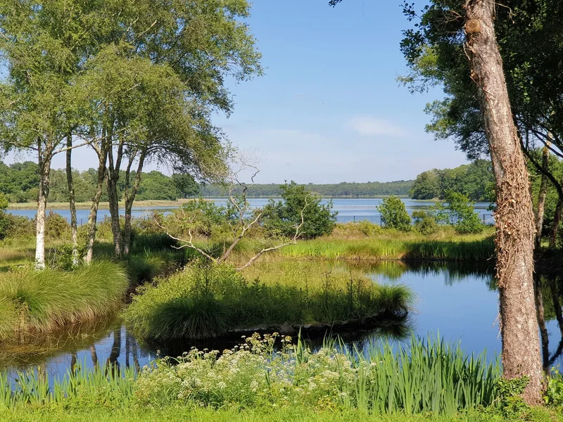 PLOMELIN, E 29700, Plomelin, Brittany, France. - Photo 8