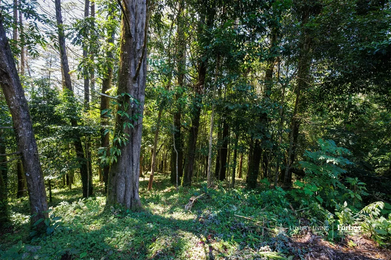 Tarbaca, San José, Aserrí, Costa Rica, San José Province, Costa Rica. - Photo 18