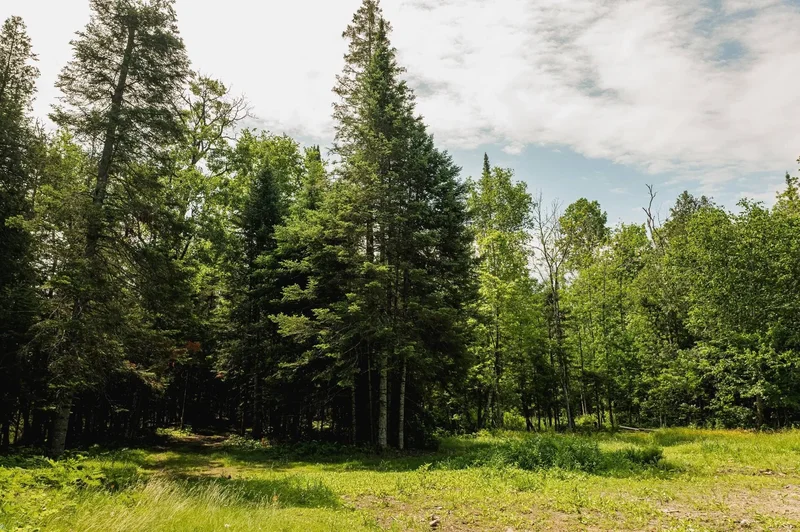 Lac-des-Plages, QC, J0T1K0, CANADA, Lac-des-Plages, Quebec, Canada. - Photo 59
