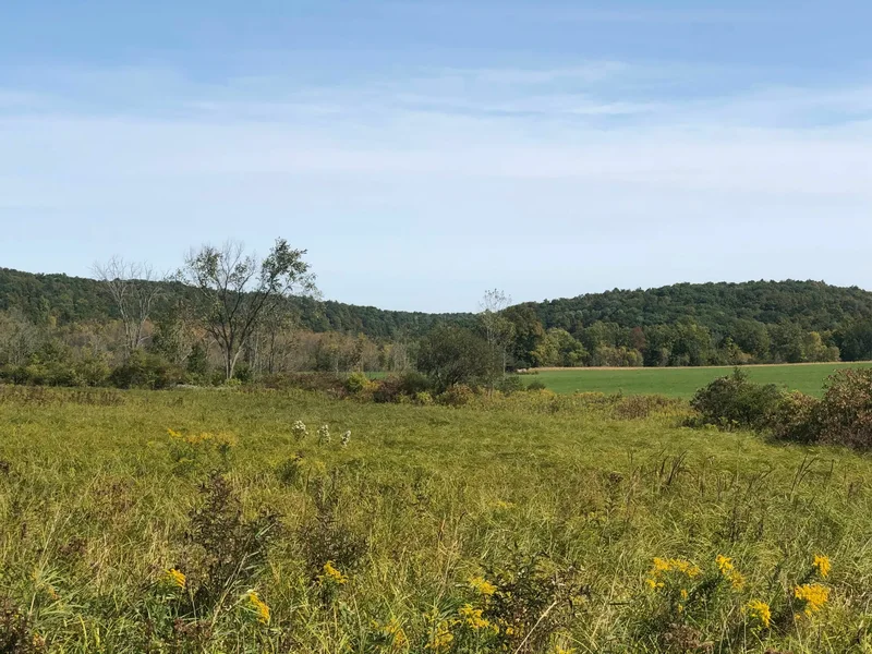 0 Rathbunville Lane , Fort Ann, NY 12827, Whitehall, New York, United States. - Photo 6