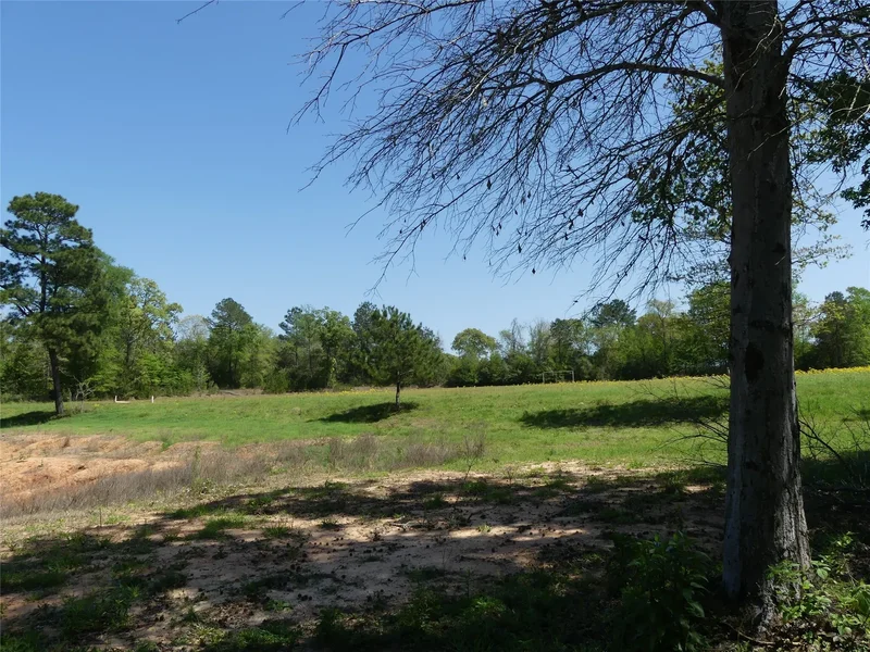 10994 Kittys Lane, Conroe, TX 77303, Conroe, Texas, United States. - Photo 6