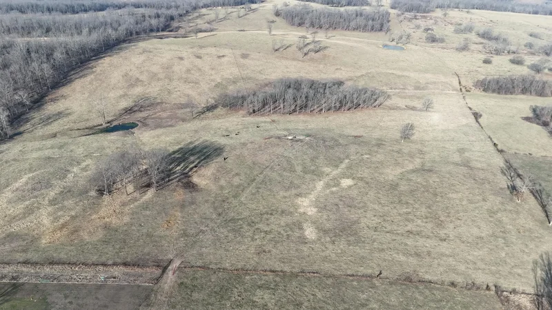 2799 Sparks Road, Norwood, MO 65717, Norwood, Missouri, United States. - Photo 30